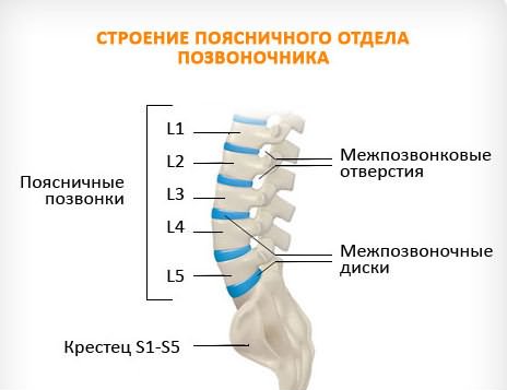 Пояснично крестцовый отдел протрузия Пояснично крестцовый отдел протрузия