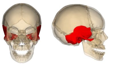 Особенности проведения КТ лицевой части черепа